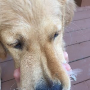 Meet your Posher, Breann